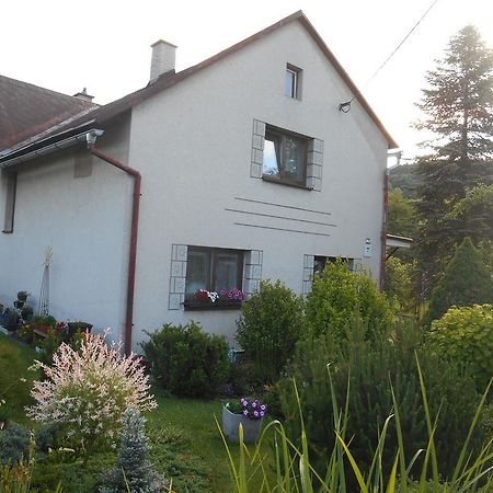 Ubytovani U Babicky Velke Losiny Exterior photo